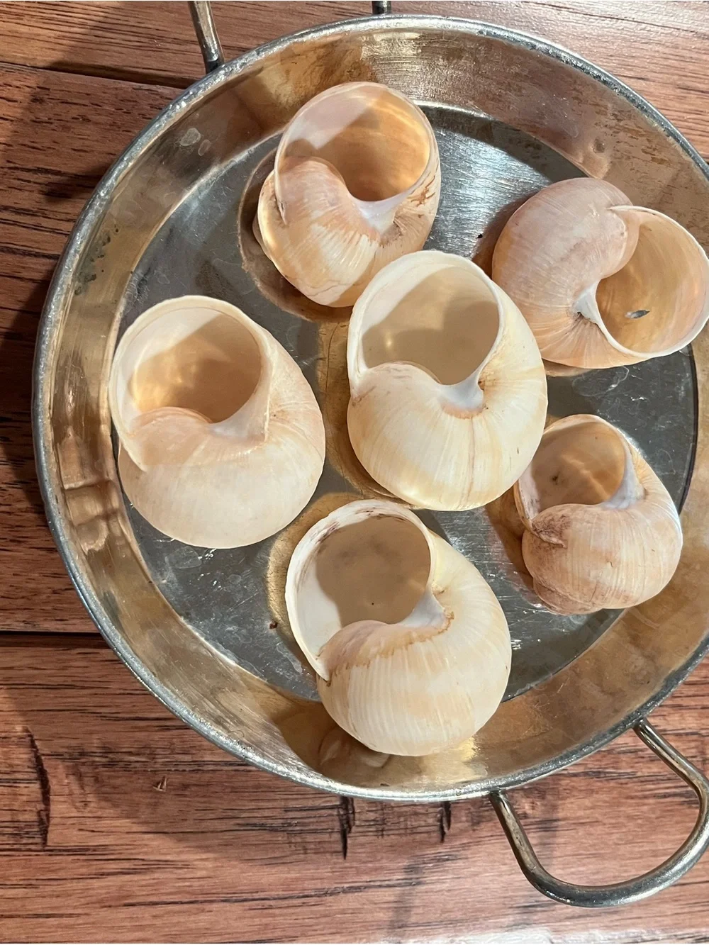 Escargot plates, shells and tongs.